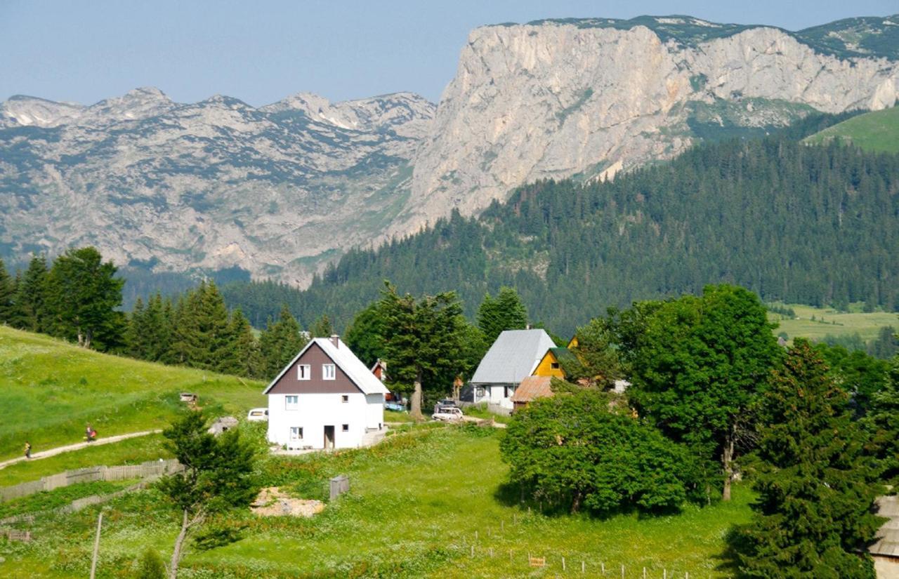 Guesthouse Planinarski Dom Neviden'O Zabljak  Exterior photo